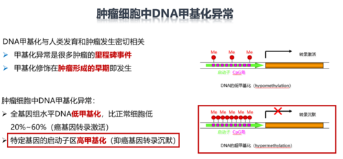 2013年德国epigenomics公司上市的shox2单基因甲基化检测和2018年中国