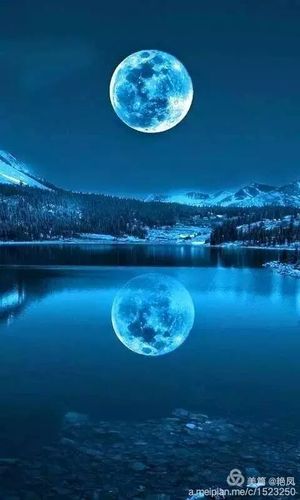 一轮明月寄相思手抄报 手抄报简单又好看