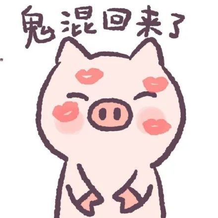 表情包呆萌猪猪表情包67