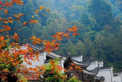 真正会玩的人,都在周末悄悄打卡云髻山