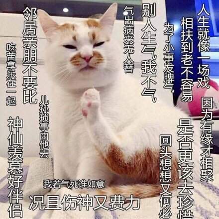 抖音延禧攻略无水印表情包大全分享