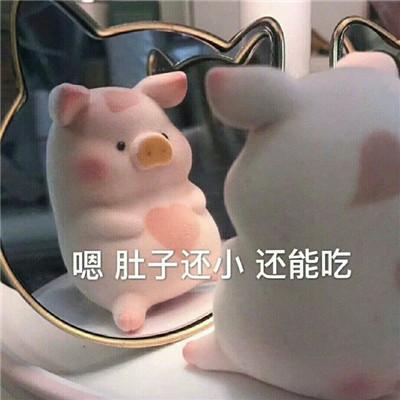 微信一只粉色猪猪表情包超可爱大全