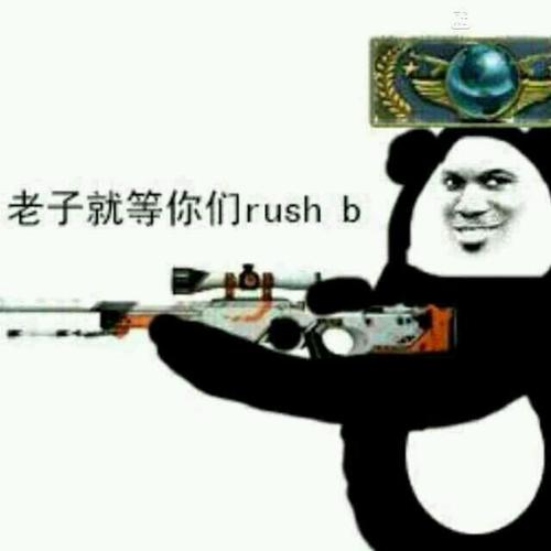 【放送】cs:go表情包
