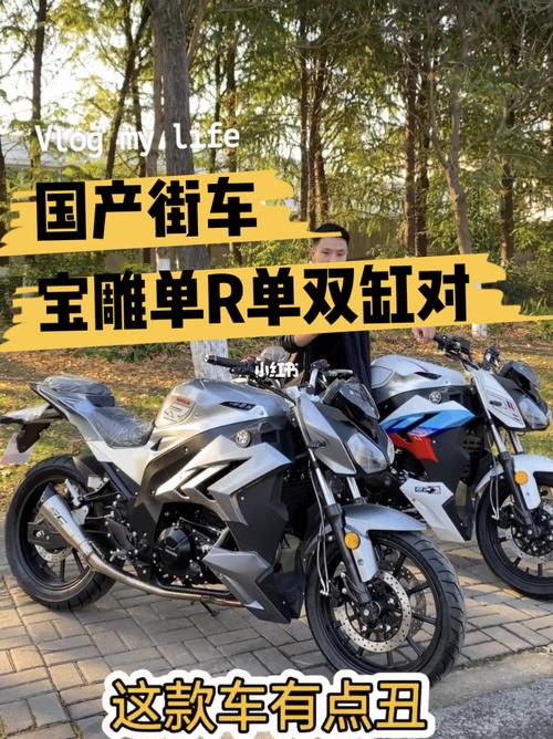 街车款宝雕单r单双杠对比_机车_小红书机车党_汽车