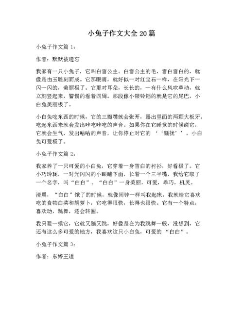 小兔子作文大全20篇.docx 13页