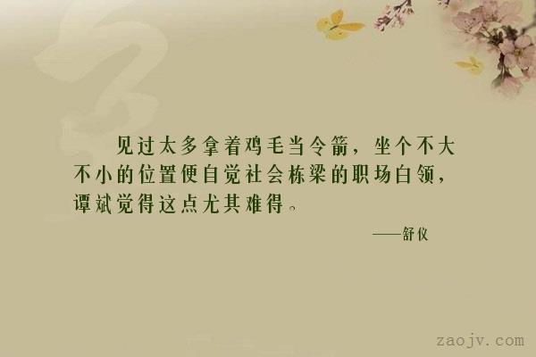 见过太多拿着鸡毛当令箭,坐个.