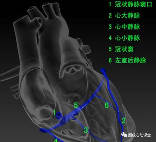 难以分辨的孪生兄弟冠状静脉窦间隔缺损和冠状静脉窦型间隔缺损