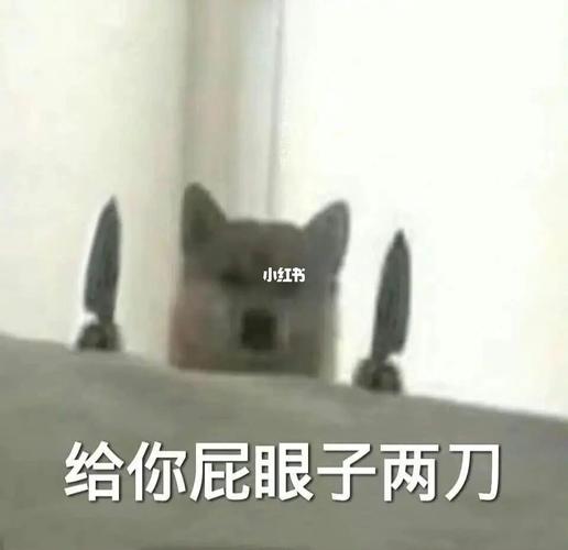 拿捏住了_搞笑_表情包_我最爱的表情包_搞笑_搞笑其他