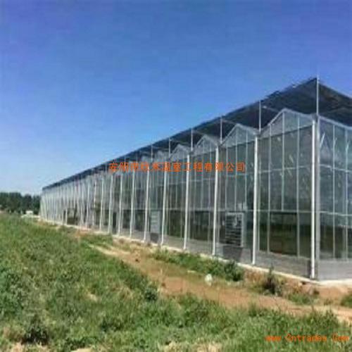**花卉大棚施工价格/花卉大棚安装/安阳市欣禾温室工程有限公