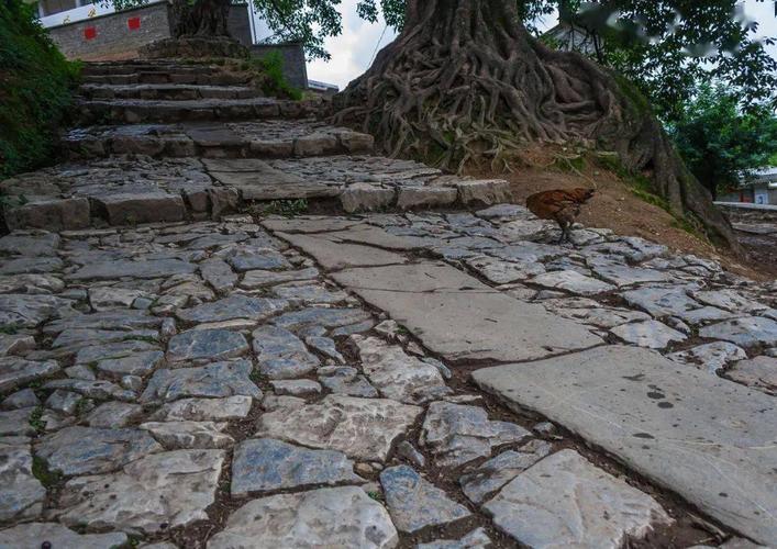 【悦游】神秘的古镇——鲁史古镇