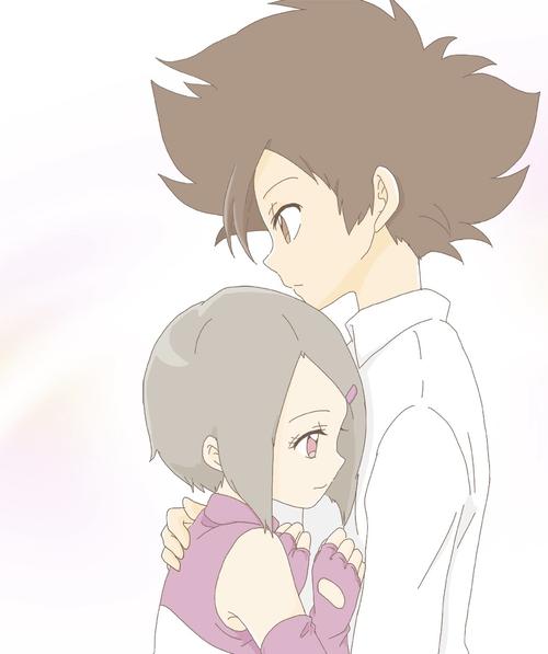 八神,数码兽大冒险02八神太一