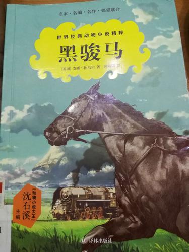 今天我们读的是英国作家安娜.休厄尔的《黑骏马》