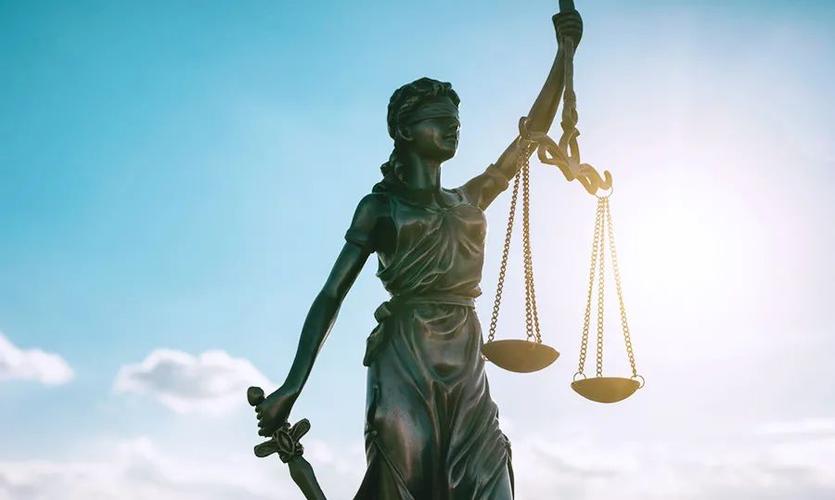 正义与司法女神朱斯提提亚06罕见病患者的生育问题关于辅助生育的