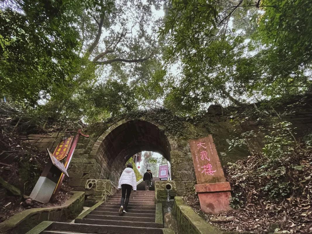 四川景区全面恢复开放!清明出游峨眉山,这些干货一定提前了解