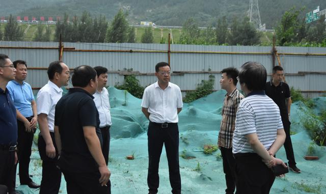 博山区领导路德芝朱玉友专题调研督导美丽宜居工作