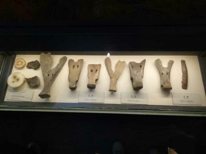 作为最早进入畜牧时代的原始部落,河姆渡人发明了很多工具,用于农耕