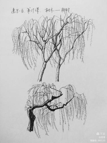 跟着阿乐画速写——"速写一百,每日一画"(3)