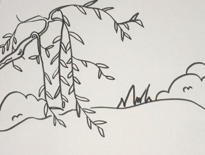 柳树简笔画怎么画