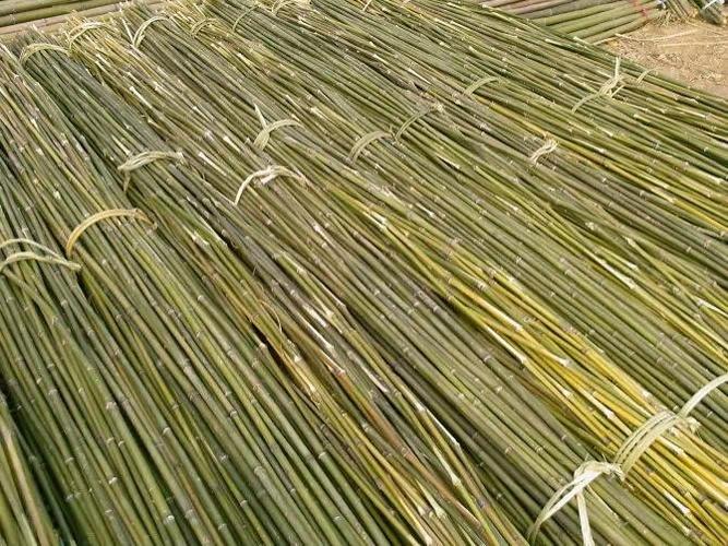 建筑工地施工专用竹片可定制毛竹片片竹跳板毛竹片竹笆片厂家直销