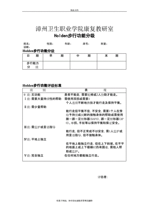 holden步行功能分级[1]说课材料.doc 2页