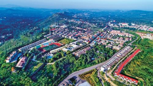 河南禹州市:走好"三步棋" 乡村净绿美