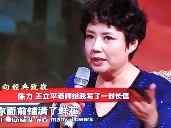 《红楼梦》歌唱家陈力