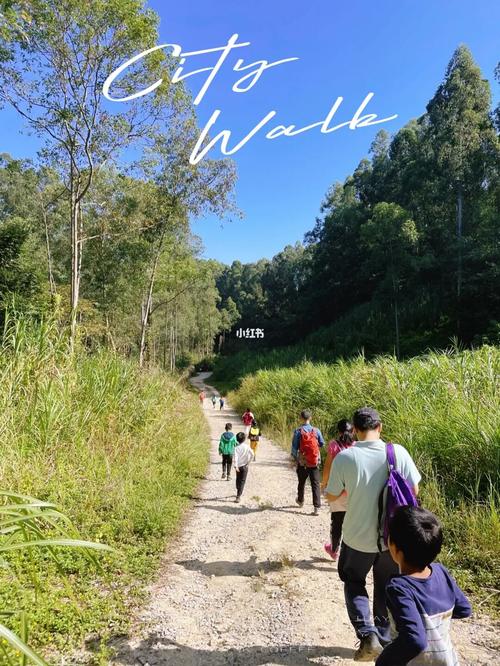 广州周边亲子游1:六片山徒步_徒步_亲子游_登山杖_运动_六片山攻略