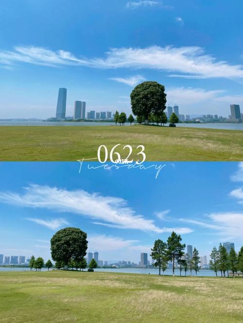 宜兴东氿公园_宜兴_东氿公园_森林_出行_人文风光展示