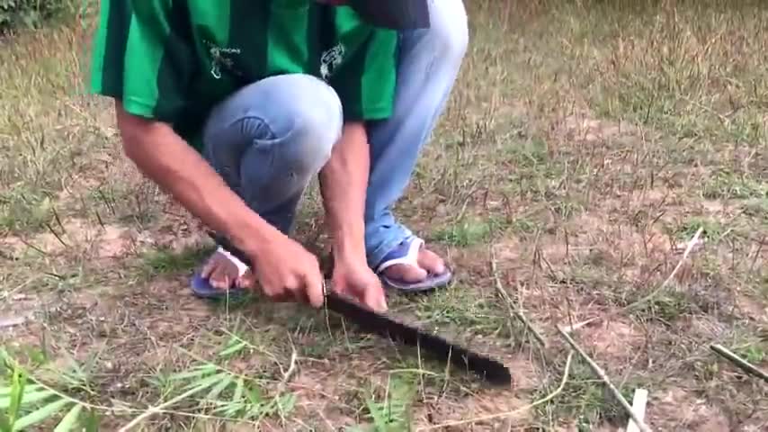柬埔寨男子砍断竹子,用绳套做捕鸟陷阱,简单易上手