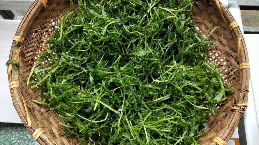 1.蒿子叶洗净沥干水分备用.