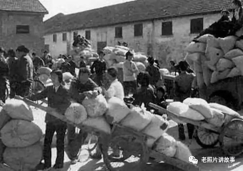 温塘人的记忆遥忆当年交公粮