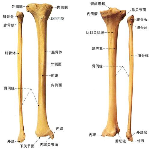 友情提示:同学您好,此页面仅供预览,在此页面学习不会被统计哦!
