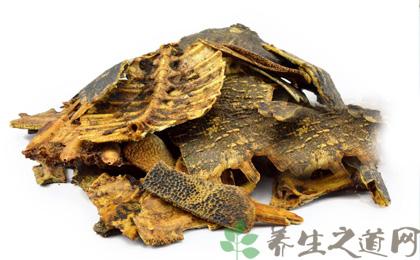 鳖甲的功效与作用