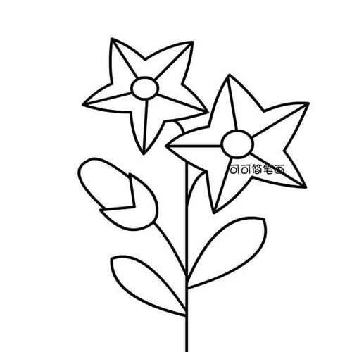 星星花简笔画