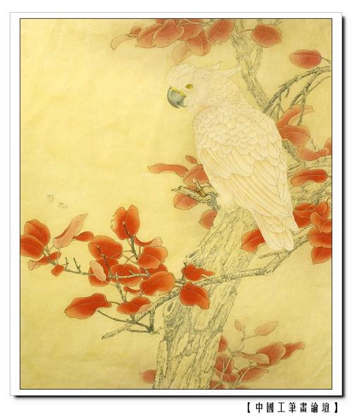 【工笔画解析】 03 《红叶鹦鹉》绘制步骤.