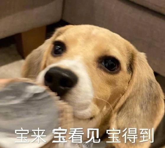 表情包无水印#烦