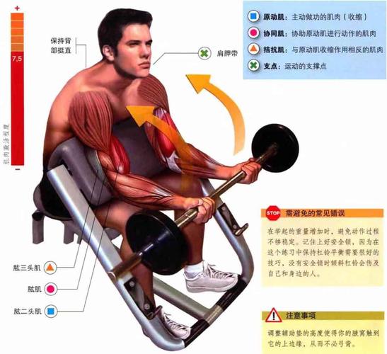 健身小白器械入门四手臂训练