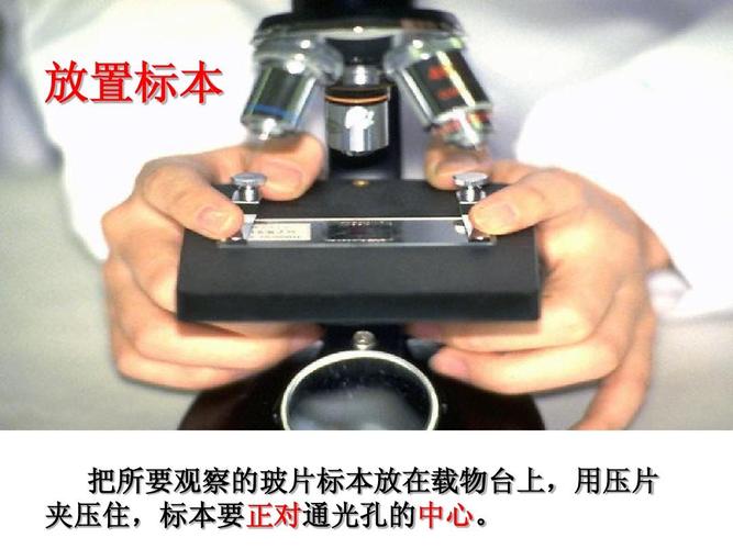 显微镜的使用方法ppt
