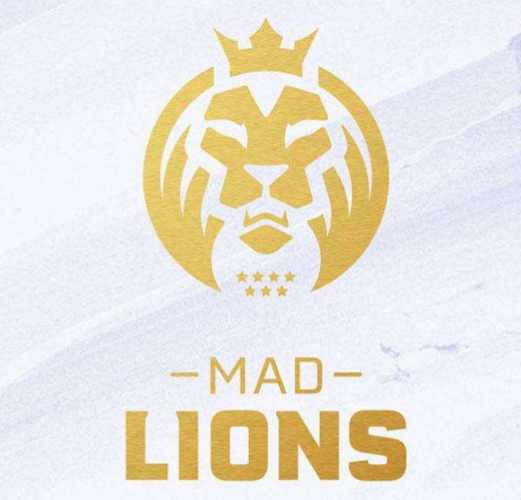 第二名:mad lions