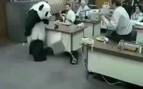 万恶之源熊猫摔电脑表情包来源永远不要对熊猫说不
