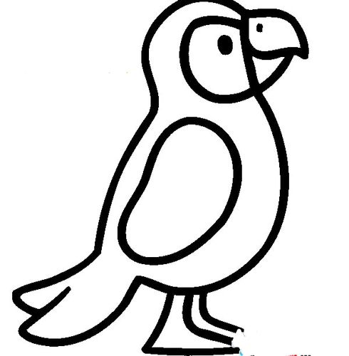 小鹦鹉儿童简笔画 鹦鹉