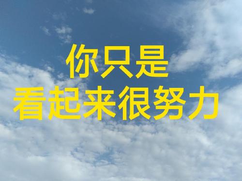 你只是看上去很努力