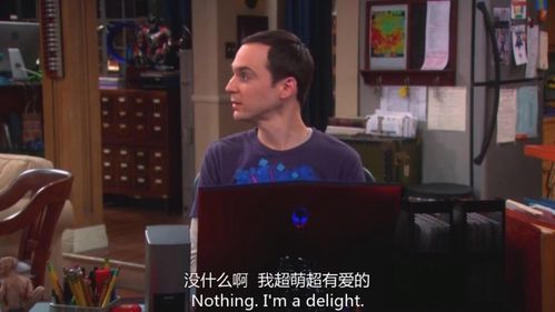 生活大爆炸 谢耳朵 超萌超有爱