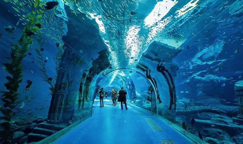 同程首页 景区门票 黑龙江景区门票 哈尔滨景区门票 > 波塞冬海底世界