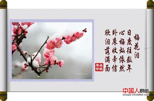【转编】:文希歌曲(1)——《梅花泪》(1)(音画图文)