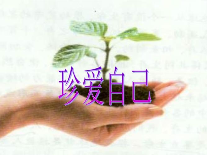 珍爱自己班会课件.ppt 31页