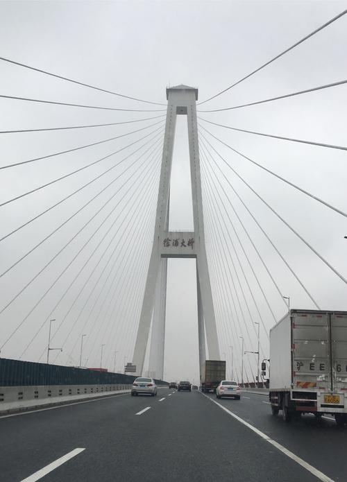 取道徐浦大桥返回上海市区