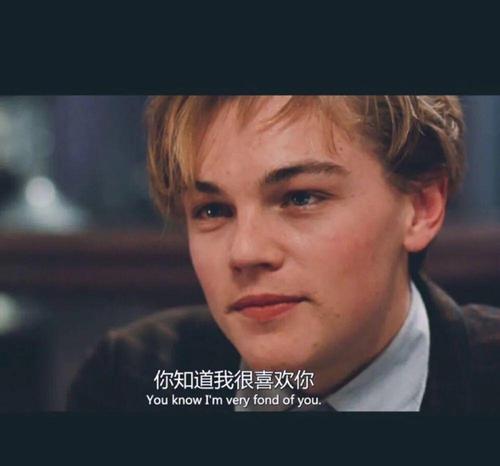 丨高清小李子qq头像!