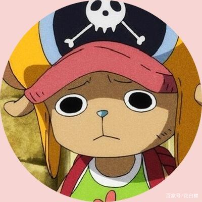 「第17期」动漫男头:海贼王乔巴呆萌可爱头像