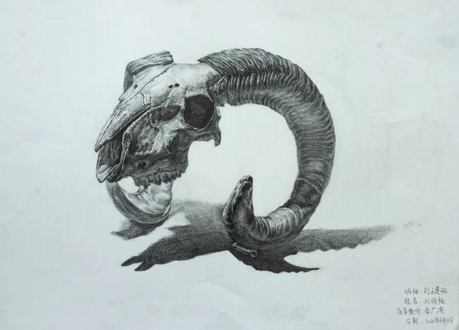 保定美中高一拔尖创新班学子精微素描作品展